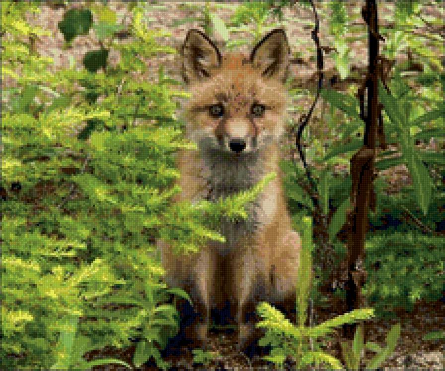 Лисенок - животные - предпросмотр