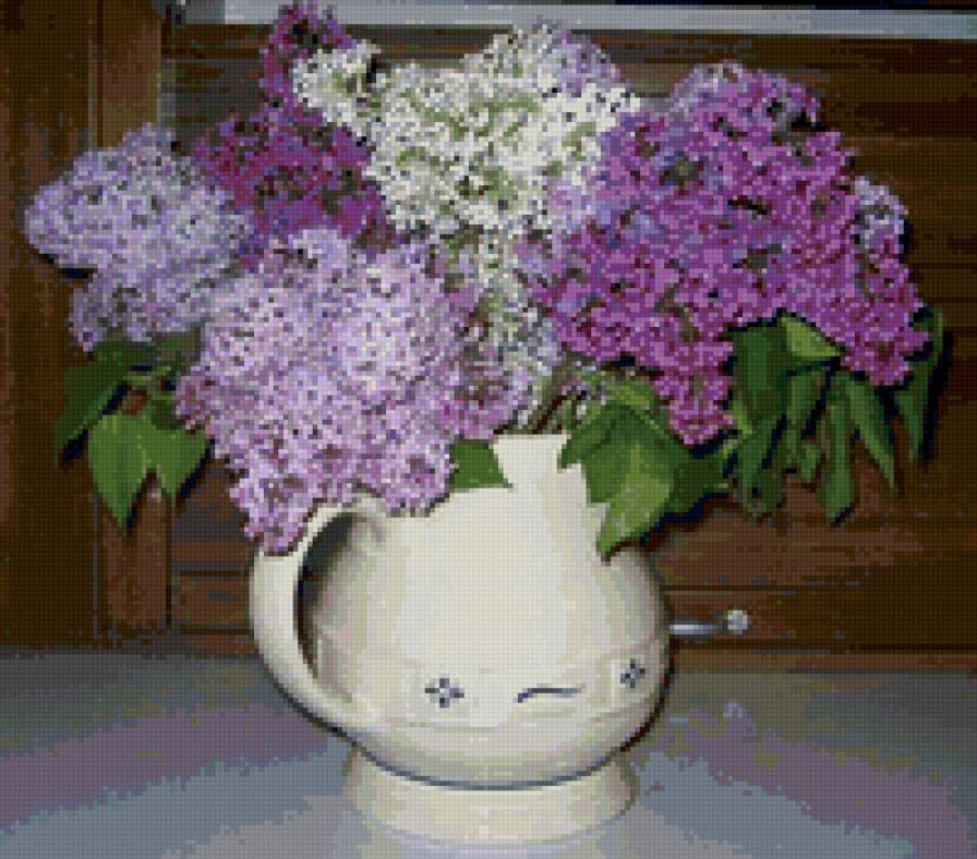 Букет сирени - цветы. сирень - предпросмотр