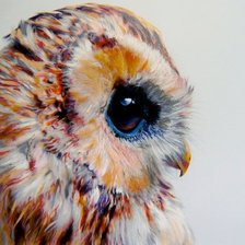 Схема вышивки «Сова»