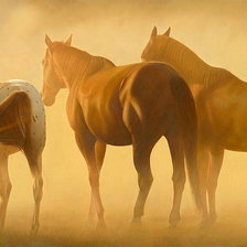 Схема вышивки «кони»