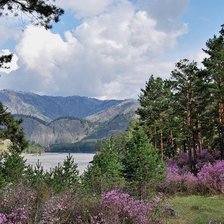 Схема вышивки «горный пейзаж»