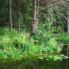 Схема вышивки «озеро»