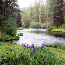 Схема вышивки «летний пейзаж»