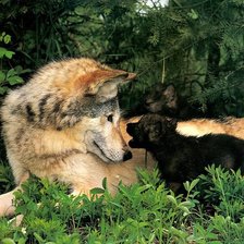 Схема вышивки «Материнство»