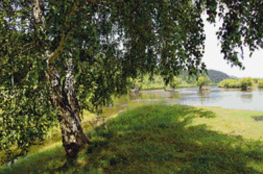 летний пейзаж - березы, река, лето, пейзаж, природа - предпросмотр