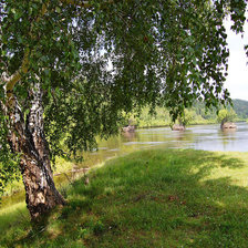 летний пейзаж