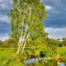 перед грозой