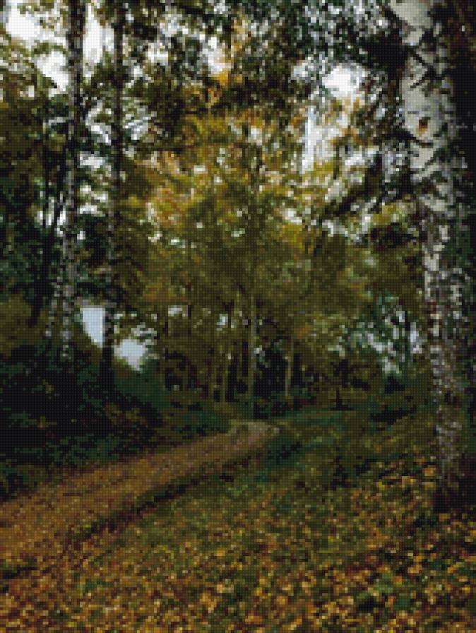 сентябрь - природа. лес. осень, пейзаж, тропа - предпросмотр