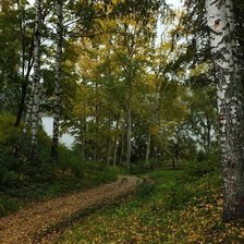 Схема вышивки «сентябрь»