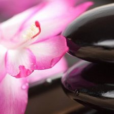 Схема вышивки «рэлпкс»