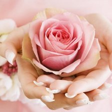 Схема вышивки «нежность»