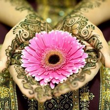 Схема вышивки «индия»