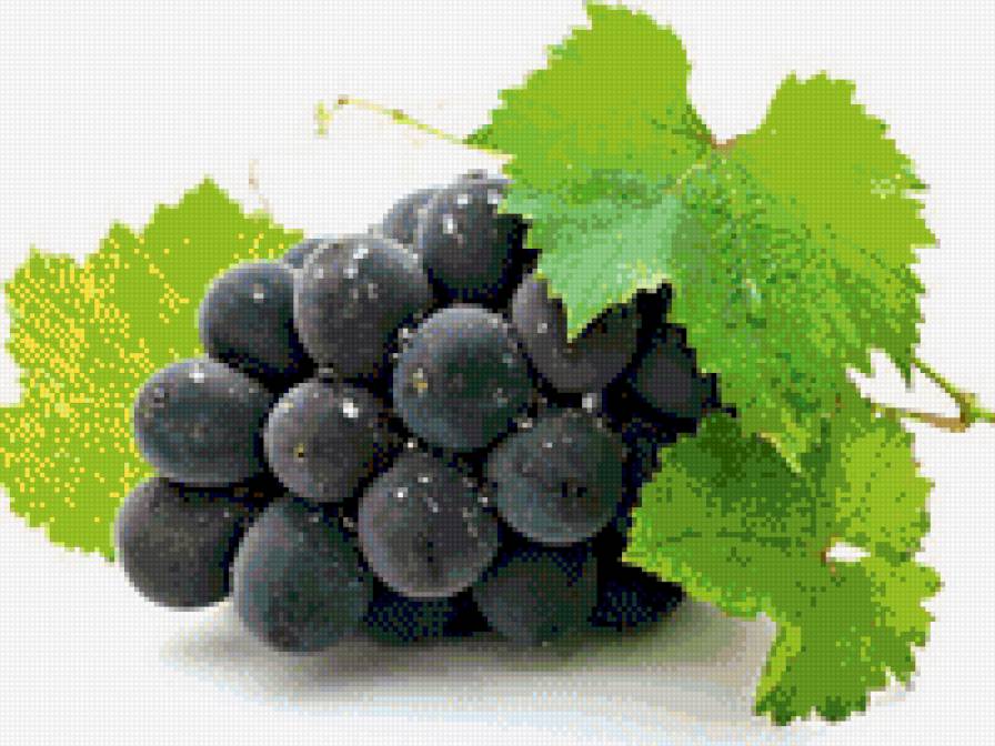 виноград - натюрморт, ягоды, виноград - предпросмотр