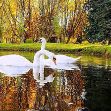 Схема вышивки «№894398»