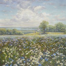 родные просторы