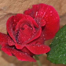 Схема вышивки «№894606»