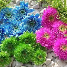 Схема вышивки «цветы»