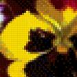 Предпросмотр схемы вышивки «анютины глазки» (№894636)