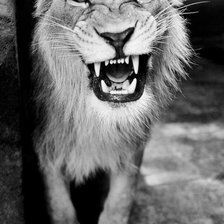 Схема вышивки «Лев»