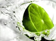 Схема вышивки «лайм»