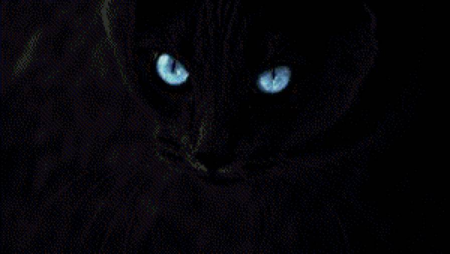 кот - кот - предпросмотр