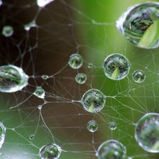 Схема вышивки «паутина»