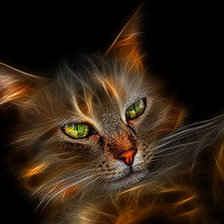 Схема вышивки «кот»