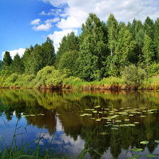 Схема вышивки «летний пейзаж»