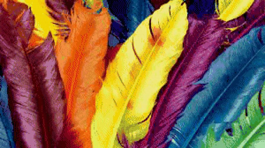 перья - птицы - предпросмотр