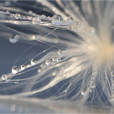 Схема вышивки «триптих ц.часть Нежность»