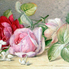 Схема вышивки «№895155»