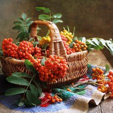 Схема вышивки «Натюрморт с рябиной»