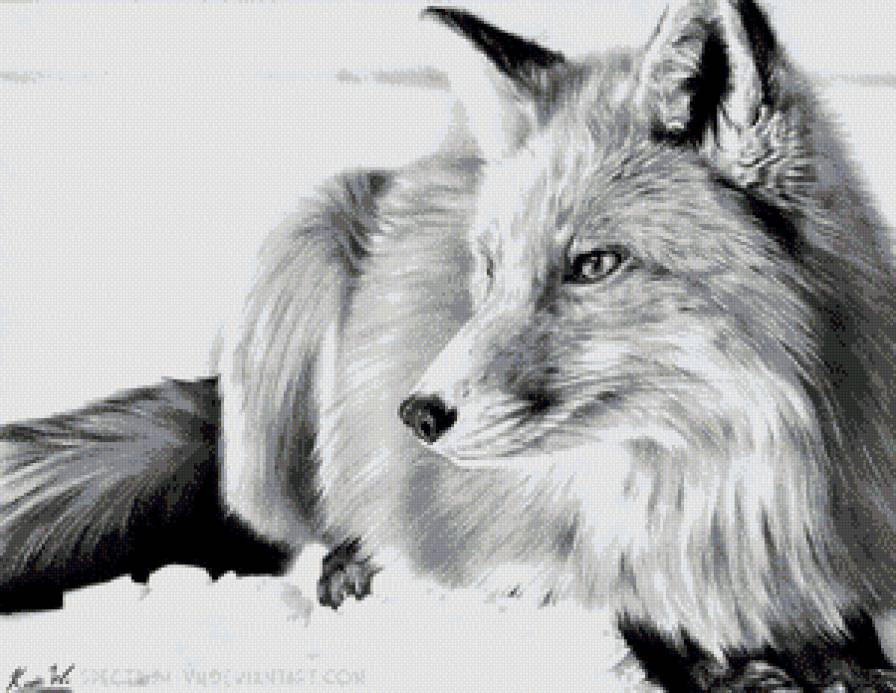 Улыбка - графика, рисунок, лиса, природа - предпросмотр