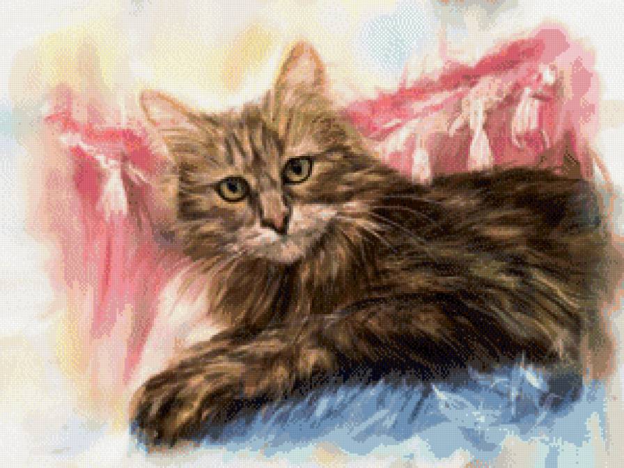 Взгляд - кошка, графика, природа, рисунок - предпросмотр