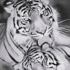 Схема вышивки «любовь»