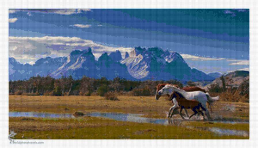 Лошади на прогулке - предпросмотр