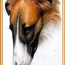 Схема вышивки «№895529»