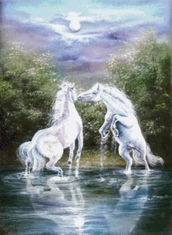 Белые лошади - вода, лошади - предпросмотр