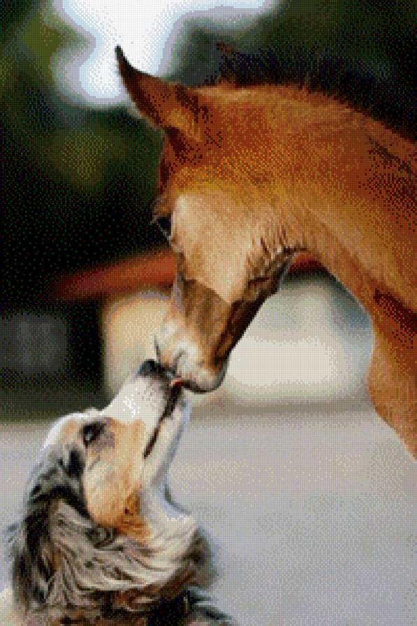 Лошадь с собакой - животные, лошадь, собака - предпросмотр