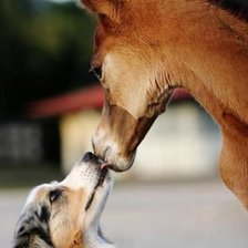 Схема вышивки «Лошадь с собакой»