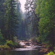 Схема вышивки «тайга»