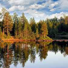 Схема вышивки «Тайга»