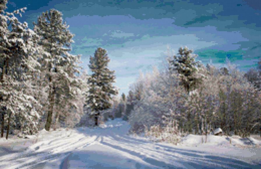 зимний лес - пейзаж, сосны, тропа, природа. зима - предпросмотр