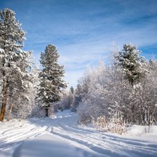 Схема вышивки «зимний лес»
