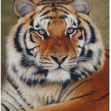 Схема вышивки «№896294»