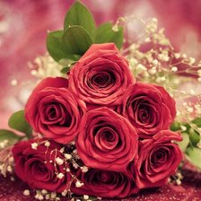 Схема вышивки «Розы»