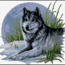Схема вышивки «Волк»