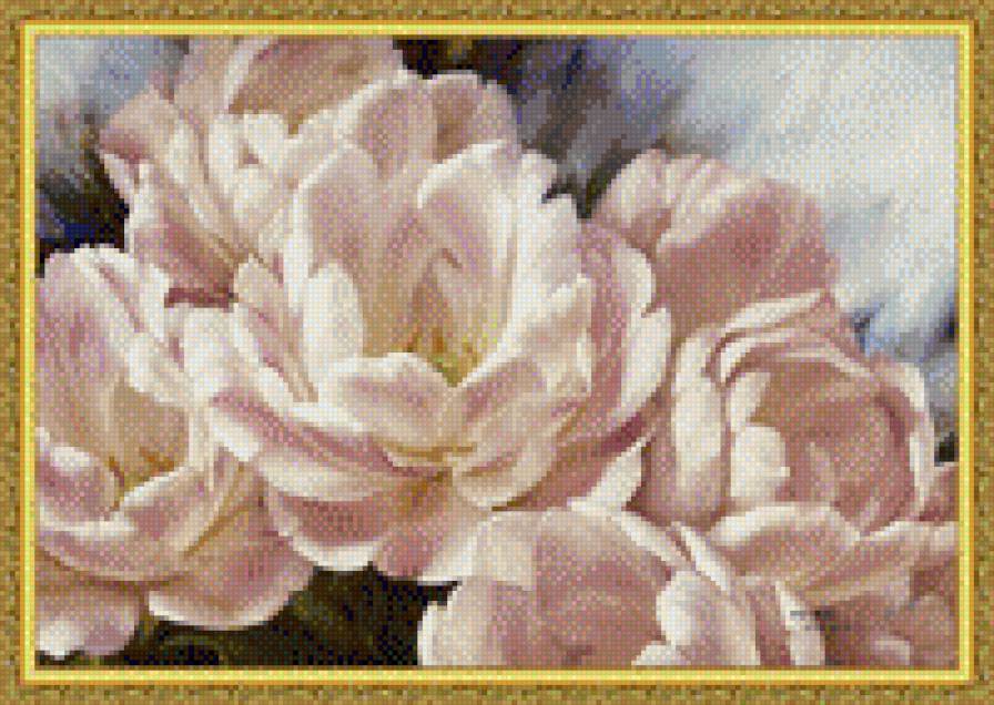 розы - натюрморт, роза, цветок, розы, цветы - предпросмотр