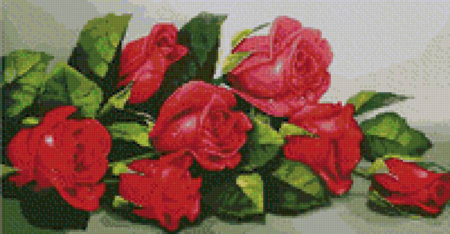 красные розы - розы - предпросмотр