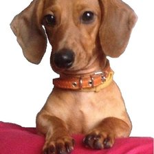 Схема вышивки «№896469»